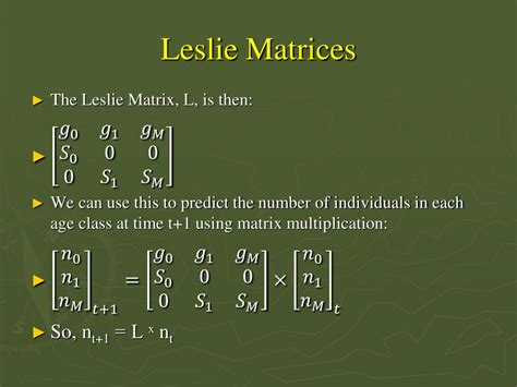 PPT - POPULATION ANALYSIS IN WILDLIFE BIOLOGY PowerPoint Presentation, free download - ID:2353310