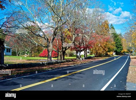 Trees with colorful fall foliage line a country road Stock Photo - Alamy