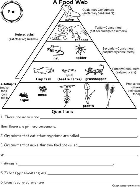 Energy Diagram Worksheets