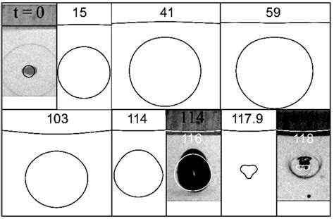 The collapse of a laser generated cavitation bubble compared to a ...