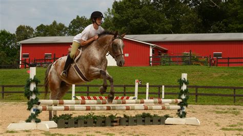 Horseback Riding Camp | Camp High Rocks | Boys Summer Camp