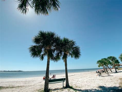 Florida palm harbor beach stock photo. Image of palm - 173529272