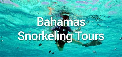 Bahamas Snorkeling Tours