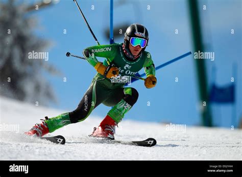 An alpine skier racing on a giant slalom course Stock Photo, Royalty Free Image: 54769949 - Alamy