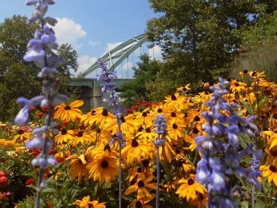 Community Gardens & Greenspace - Western Pennsylvania Conservancy