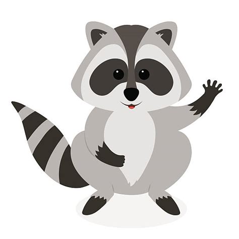 Raccoon Tail Clip Art, Vector Images & Illustrations - iStock