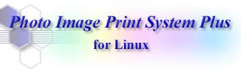 Photo Image Print System Plus User's Manual