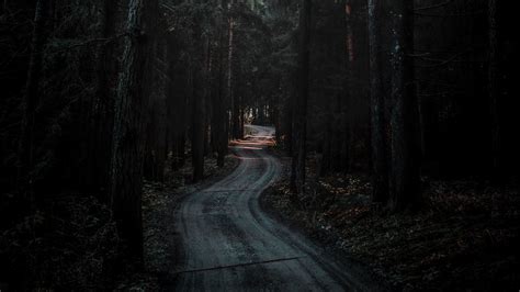 Forest Road Dark | Free URL shorten service