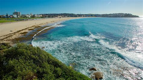 Bondi Beach in Sydney, New South Wales | Expedia