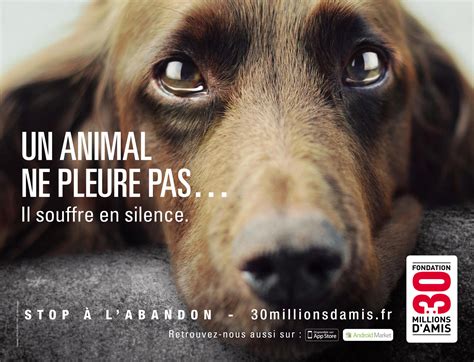 10 publicités créatives mettant en scène les animaux – Idole