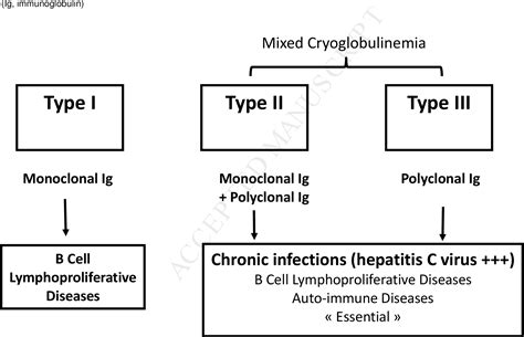 Figure 2 from Cryoglobulinemia Vasculitis. | Semantic Scholar