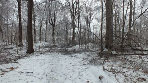 Ice Storm Toronto 2013