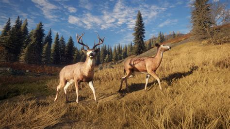 theHunter: Call of the Wild™ on Steam