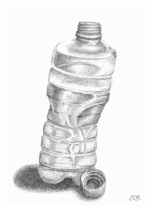 Bottle Sketch - Conor O'Brien Art