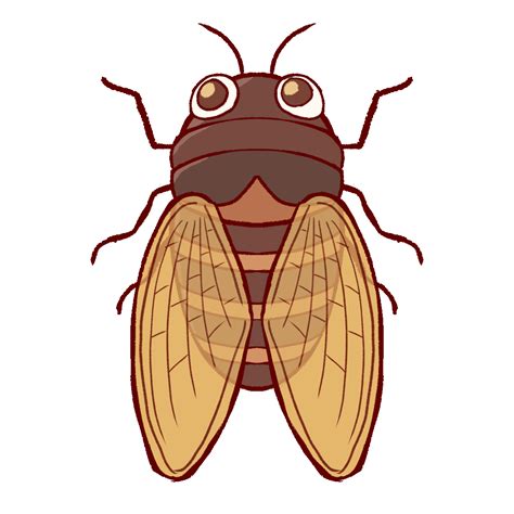 Animated Illustration of a Cicada | UGOKAWA