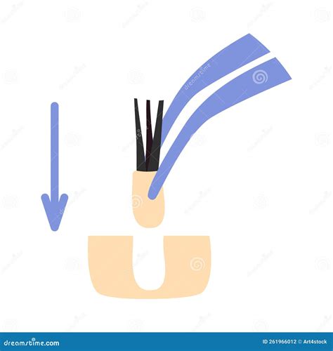 Hair Transplant Forceps with Hair Follicle Icon Stock Vector ...