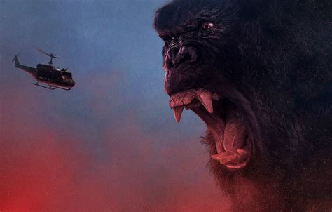 Wallpaper King Kong, cinema, movie, gorilla, fang, film, angry, strong, fury, Kong, Kong: Skull ...