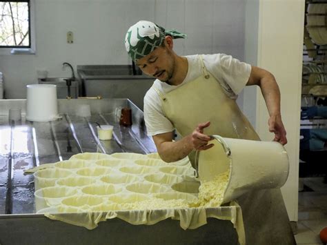 The Cheeses of the Haute Savoie - The Alpine Property Blog