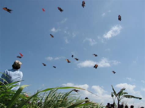 File:Bali Kite Festival (Padang Galak).jpg - Wikipedia