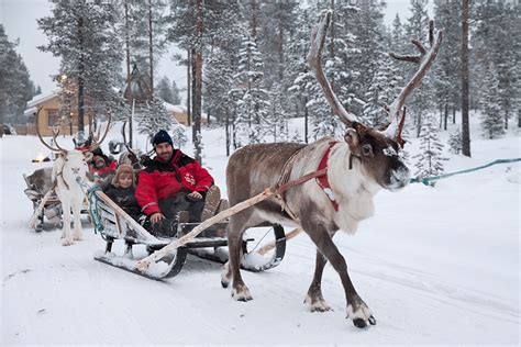christmas-lapland-reindeer-family - The Family Holiday Guide