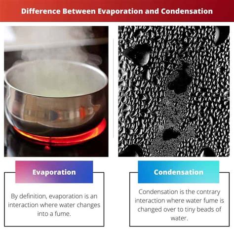 Evaporation vs Condensation: Difference and Comparison