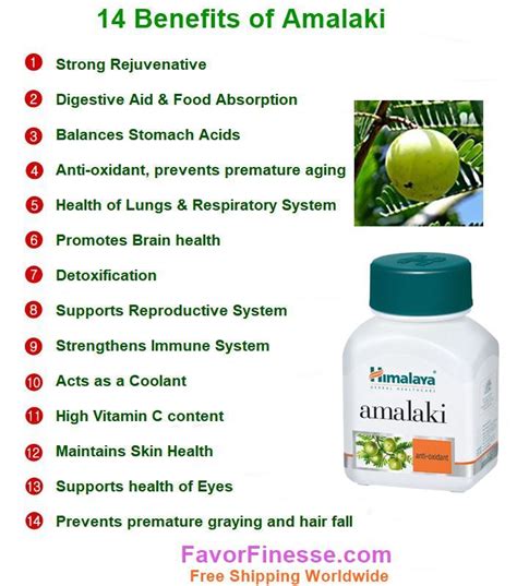 Himalaya Amalaki (Amla, Indian Gooseberry) benefits, dosage, pure herb