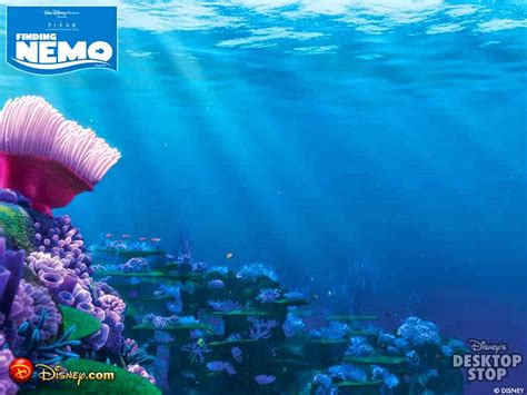 Free Desktop Wallpaper: Finding Nemo Desktop Wallpaper