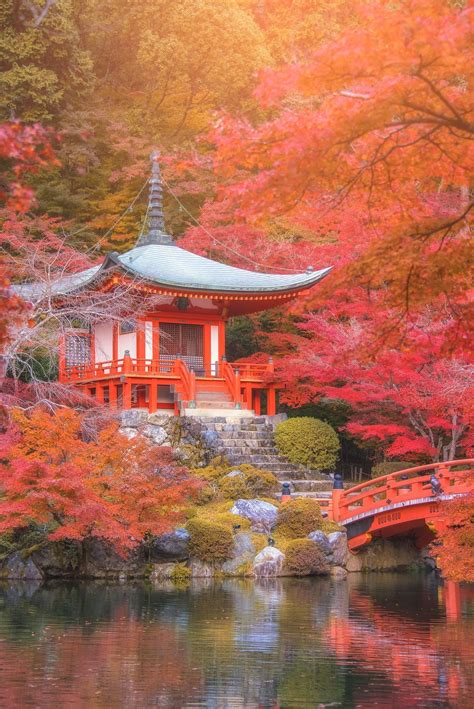 The Most Beautiful Places to Visit for Fall Foliage | Paysage magnifique japon, Japon paysage ...