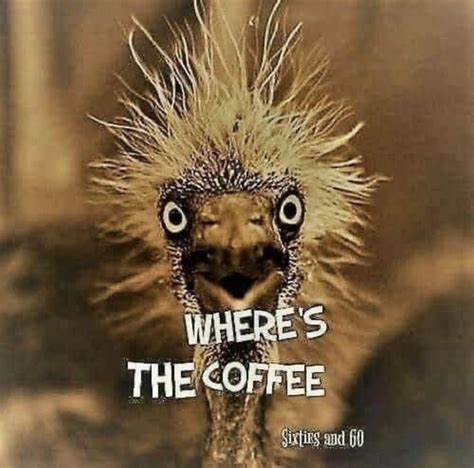 I Need Caffeine | Coffee jokes, Funny coffee quotes, Coffee meme