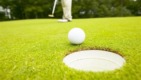 Fun Golf Tournament Games - SportsRec