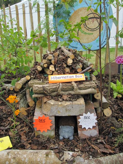 Hedgehog habitat From the outdoor classroom at Bloom 2013 | School ...