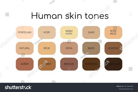 Skin Tones Palette By Name Different Stock Vector (Royalty Free ...