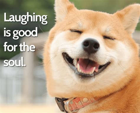 Dog Quotes: Laughing is good for the soul. See more shareable dog quotes and pictures at Good ...