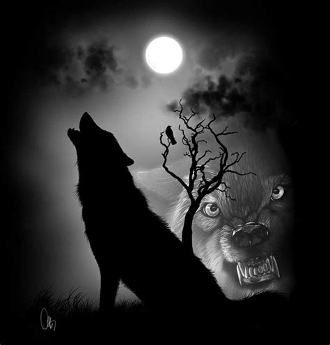 Night Wolf | Wolf spirit, Wolf silhouette, Shadow wolf