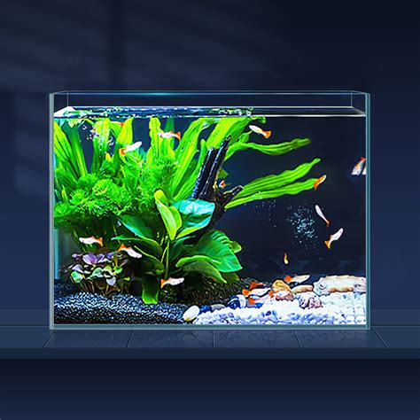 Buy 3 Gallon Ultra Clear Glass Fish Tank, Rimless Low Iron Aquarium for Betta/Nano/Goldfish ...
