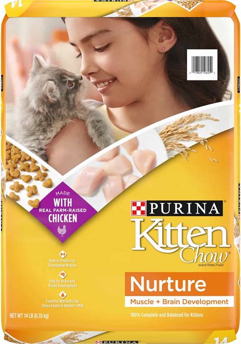 14 Best Kitten Food Brands (January 2024): A Cat Lover's Guide!