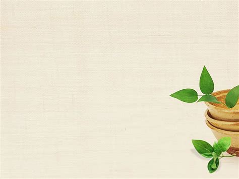 Plants PowerPoint Background. Awsome PowerPoint Background, Awesome PowerPoint Background and ...