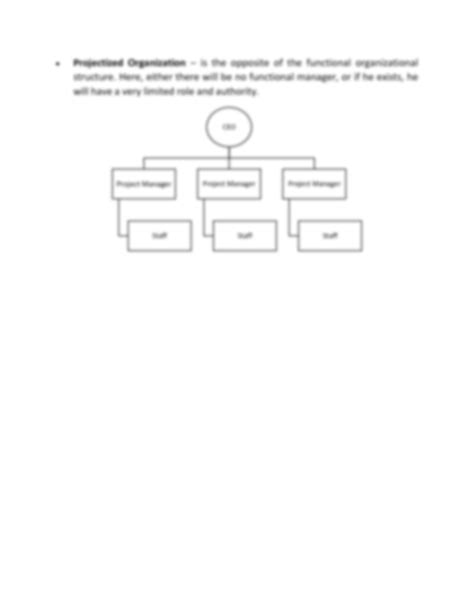 Meaningdefinition Of Project Organizational Structure - vrogue.co