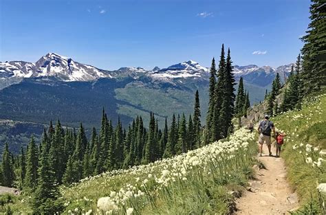 14 Top-Rated Hiking Trails in Montana | PlanetWare