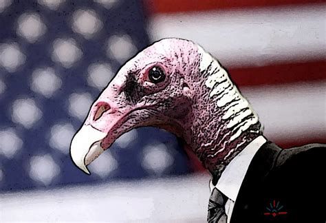 Vulture Capital | AK Rockefeller | Flickr