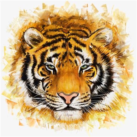 Tiger Face, Bengal Tiger, Tiger Head, Painting Frames, Abstract ...