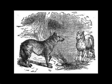 The Wolf and the Lamb I Aesop Fable - YouTube