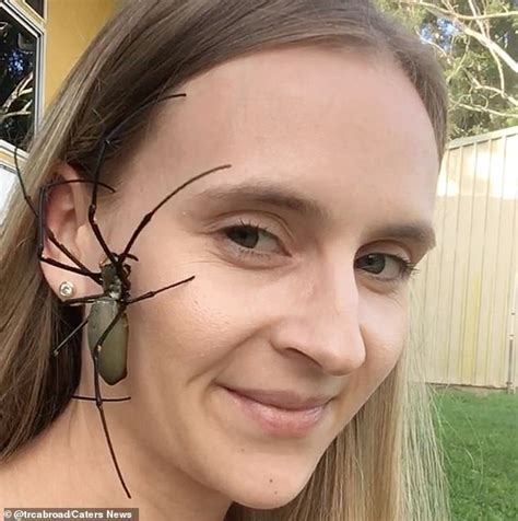 Animal lover, 27, puts massive spiders on her FACE to help her relax ...