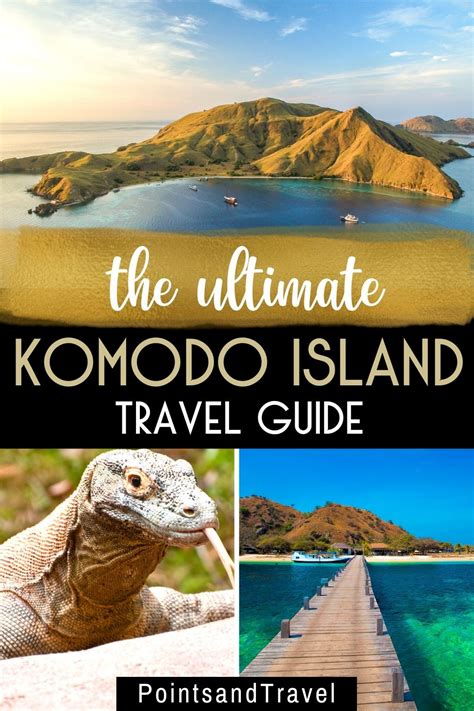 Komodo Island: Inside the Dragon's Lair