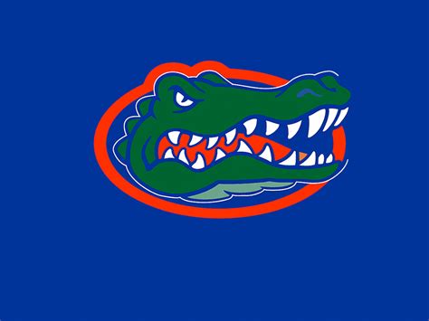 Gators. | Florida gators softball, Florida gators, Gator