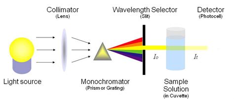 What Is Absorbance In Spectrophotometer