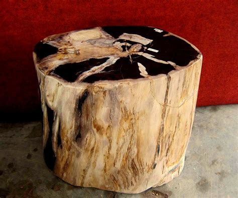 Petrified Wood Stump | Petrified Wood Stools. Manufacturer o… | Flickr