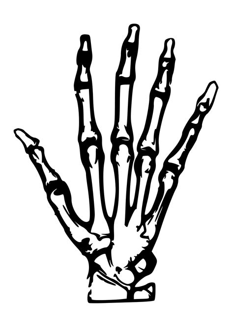 Clipart - Hand X-ray