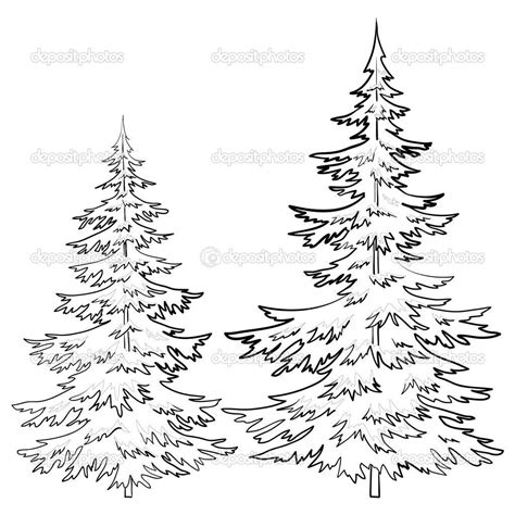 Minimalist Pine Tree Line Drawing - Firdausm Drus