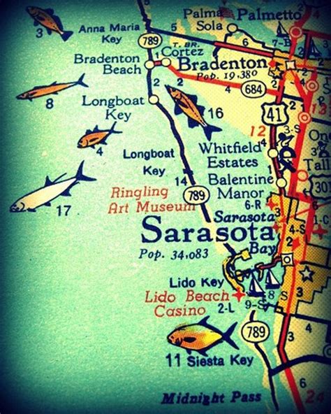 Sarasota Siesta Key Florida 11X14 Vintage Map Photograph Beach | Etsy - Siesta Key Florida Map ...
